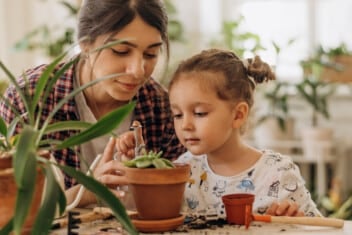 Image for 4 Ways to Begin Building Your Retirement Fund