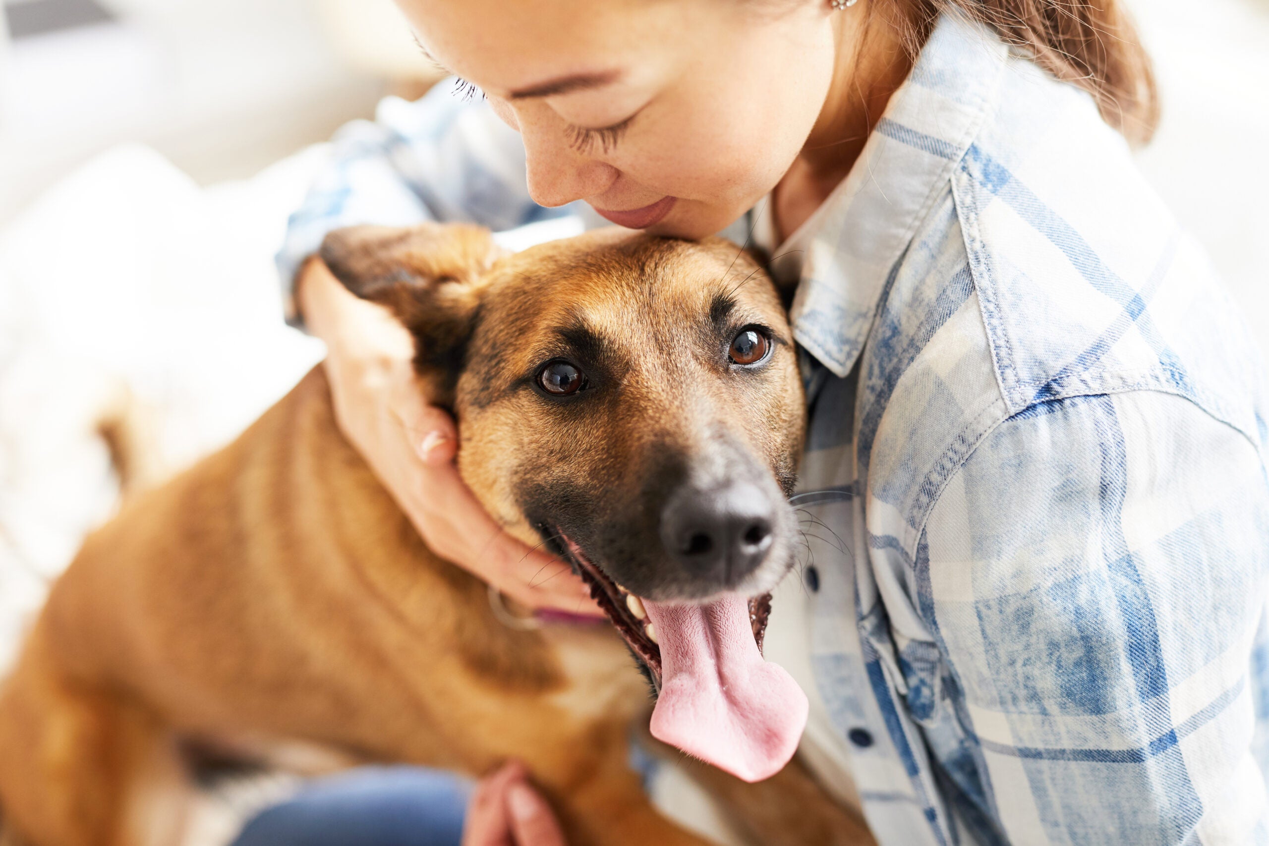 Ensure Your Pet is Protected with Pet Insurance