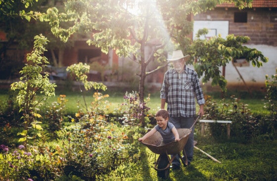 Grandfather and grandson in garden playing