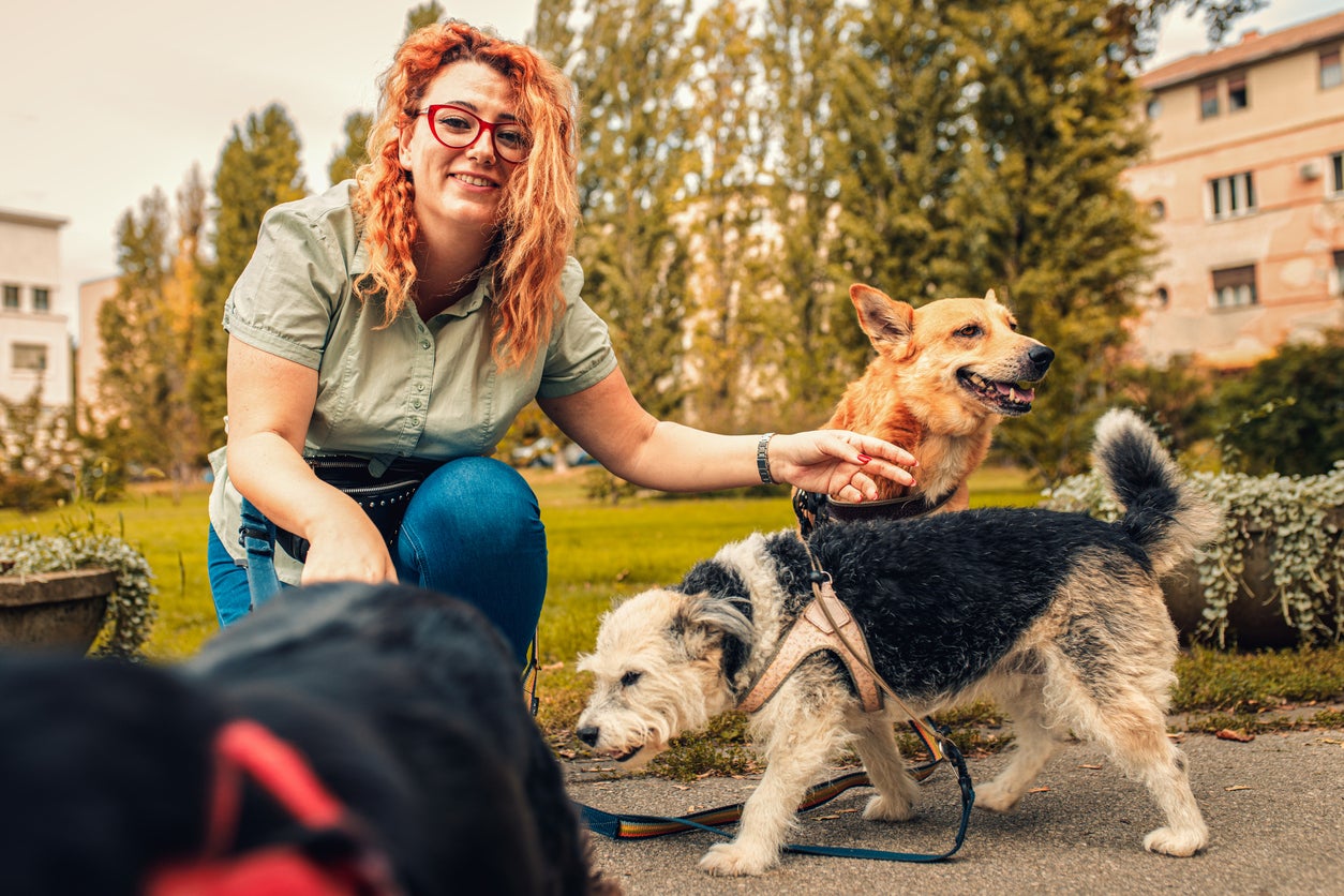 Filing Taxes from Your Side Hustle