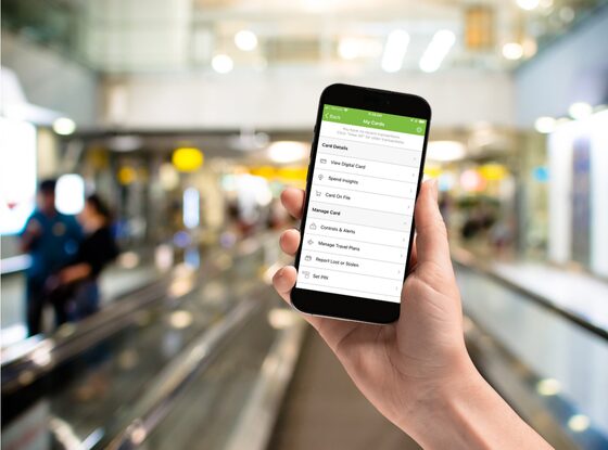 Using Debit Card Controls from SouthEast Bank while traveling
