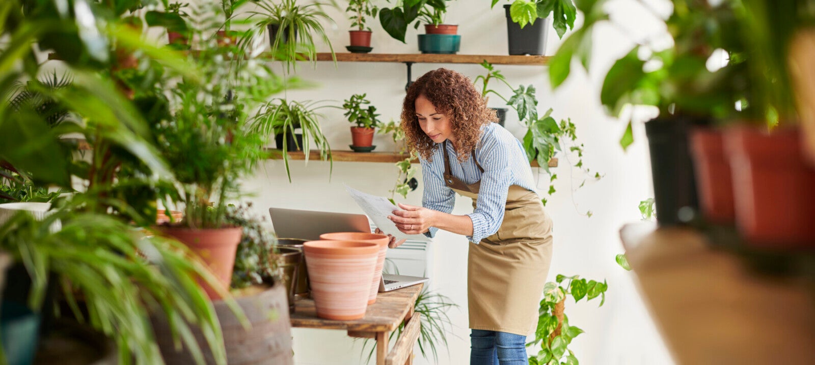 Building Your Business
